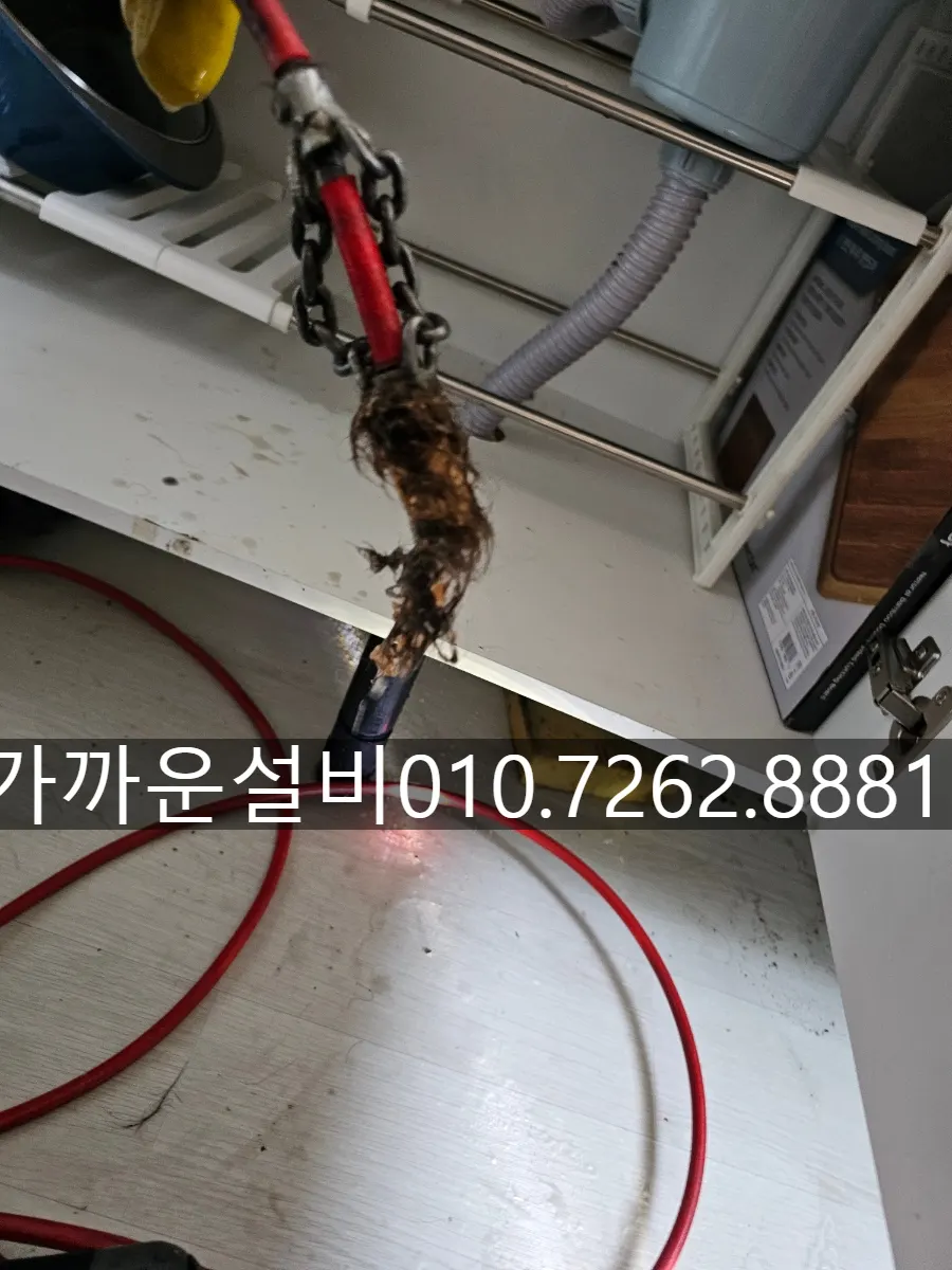 배관에서 꺼낸 머리카락 뭉치