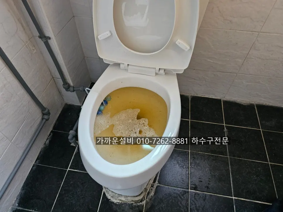 물이 내려가지 않던 기존 변기